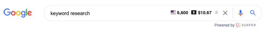 keyword surfer in search bar
