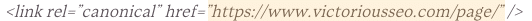 example of a canonical tag that highlights the canonical URL