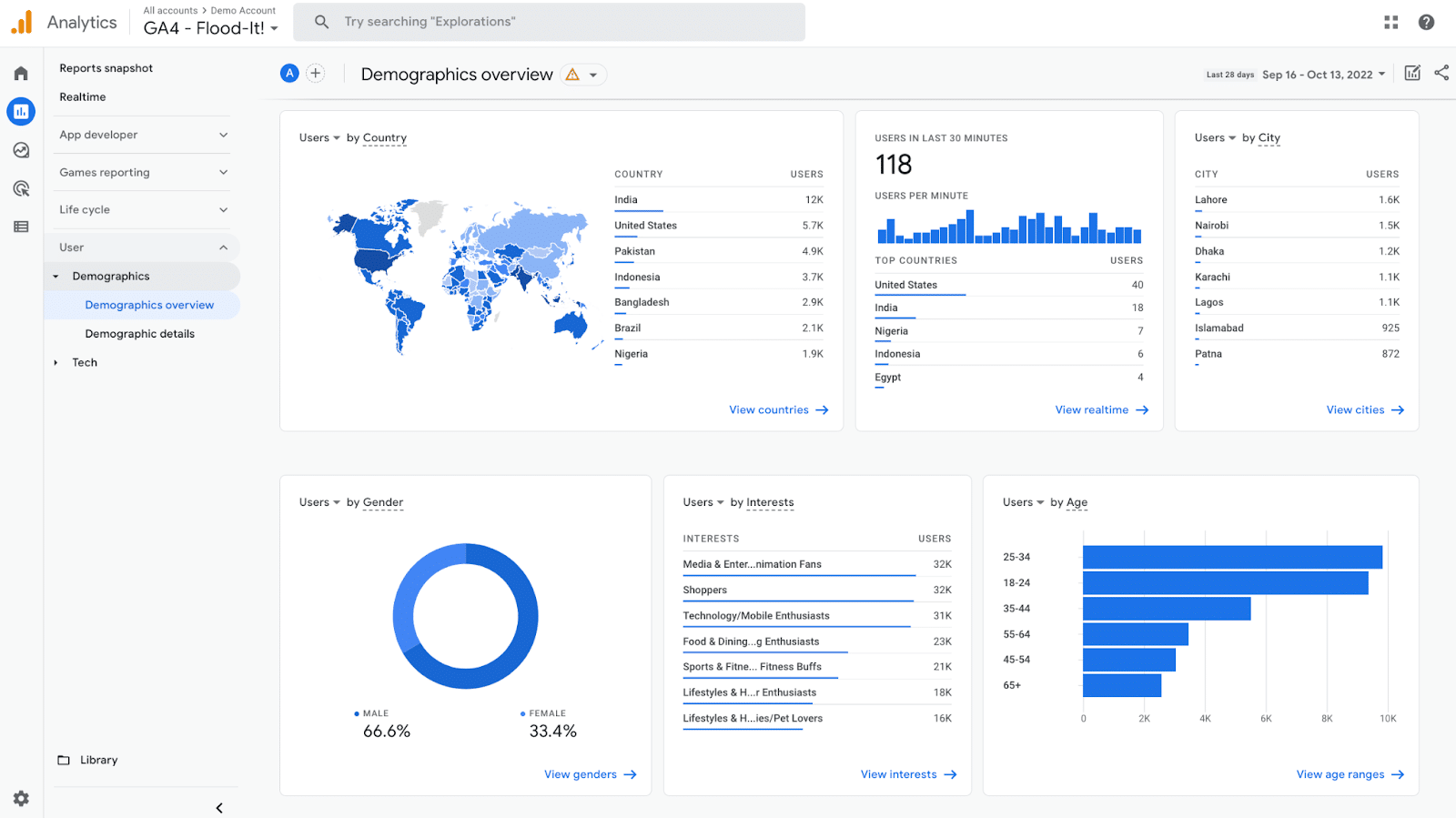 demographics overview report in google analytics
