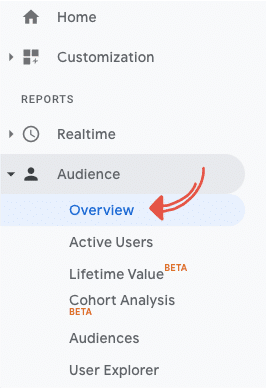 Overview in Google Analytics