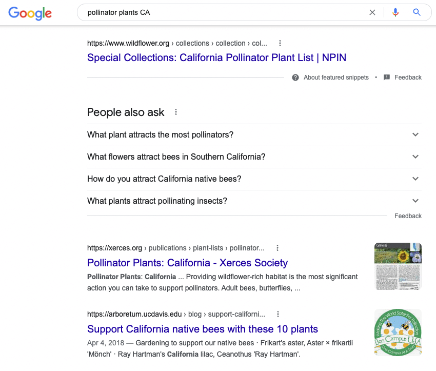 search for keyword in Google to create keyword themes