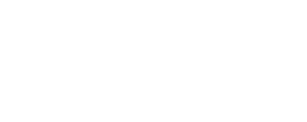 Foresee Medical