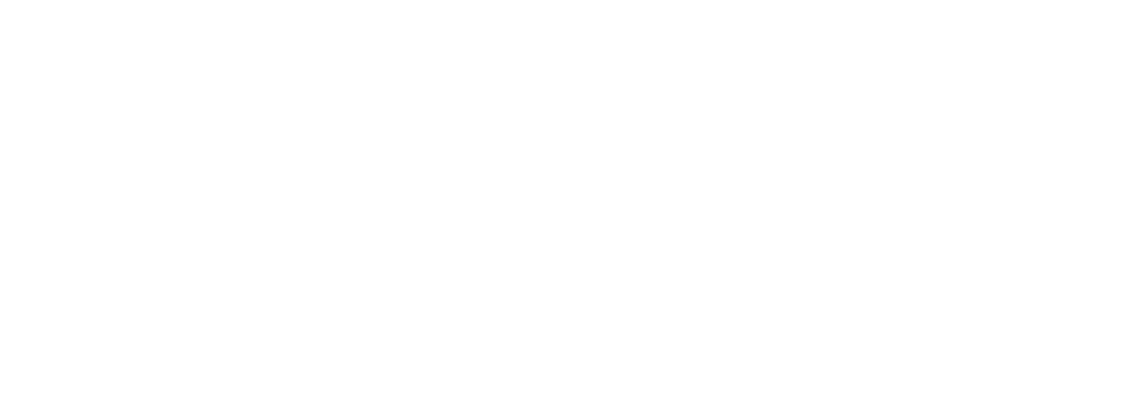 ldf logo white transparent 1080px
