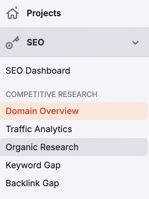 SEO Domain Overview menu