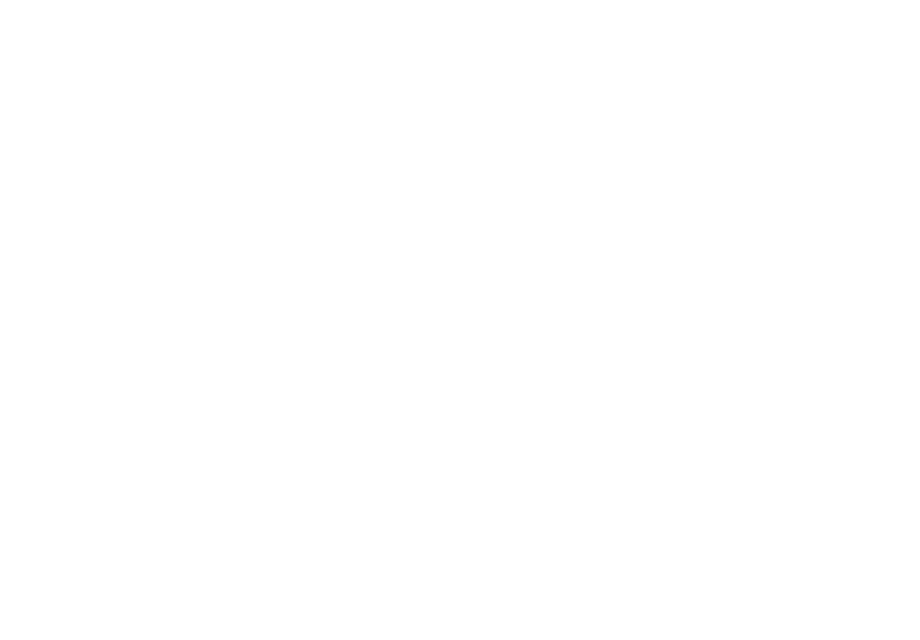 brighter strides logo white 2